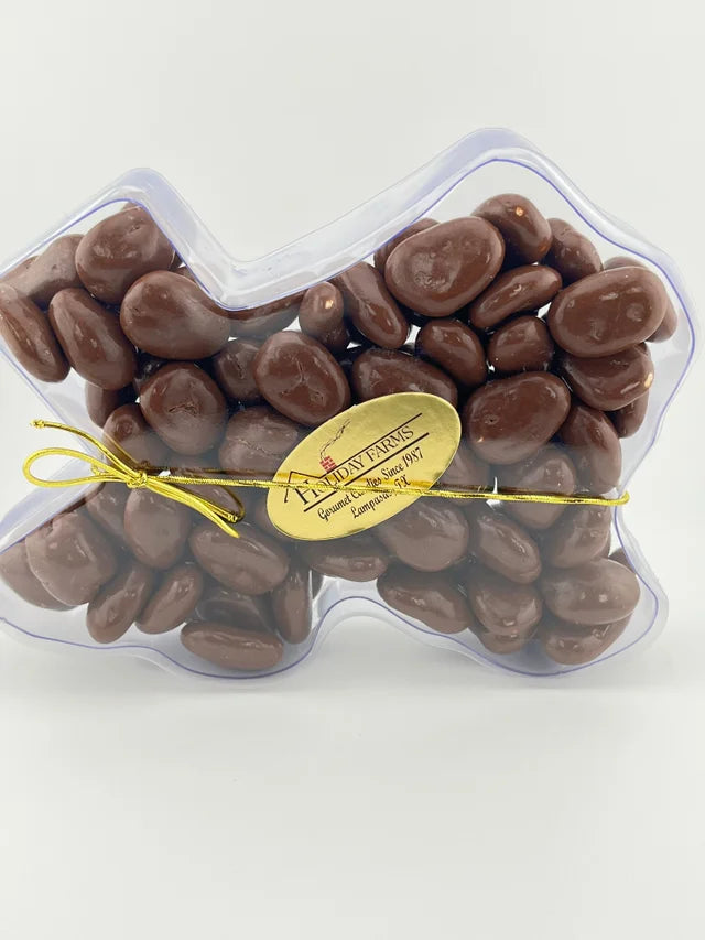 Chocolate Covered Pecans in Texas Shaped Box