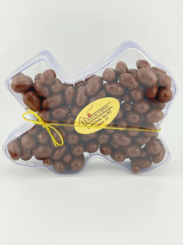 Sugar Free Chocolate Covered Almonds in Texas Shaped Box